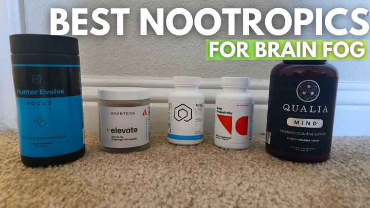 Best Nootropics For Brain Fog