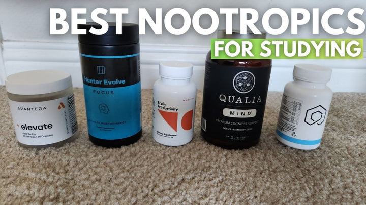 Best Nootropics For Studying