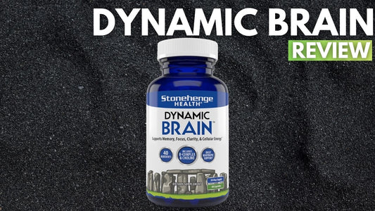 Dynamic Brain Review